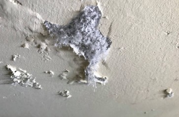 Hiện tượng muối hóa tường nhà & cách xử lý